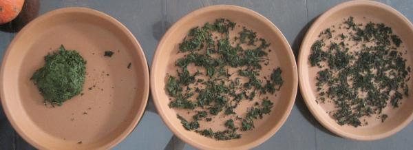 Picture Posted by Reviewer