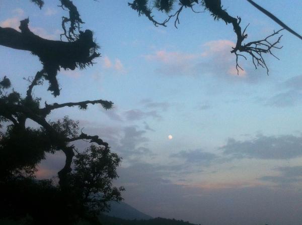 Picture Posted by Reviewer