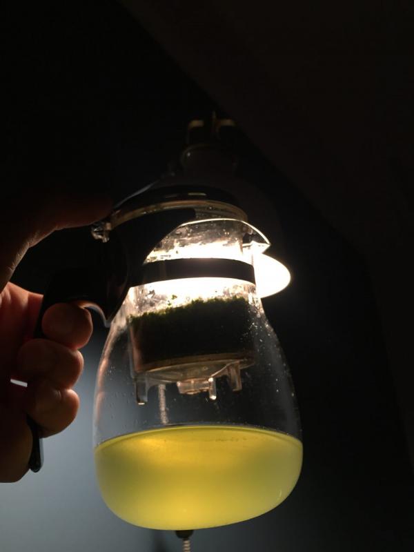 Picture Posted by Reviewer