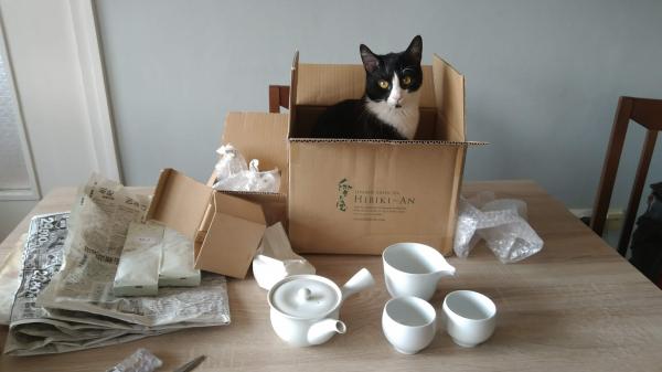 Picture Posted by Reviewer