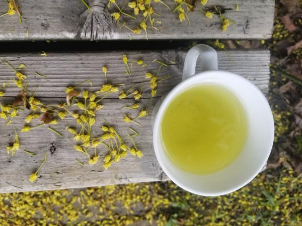 Picture Posted by Reviewer