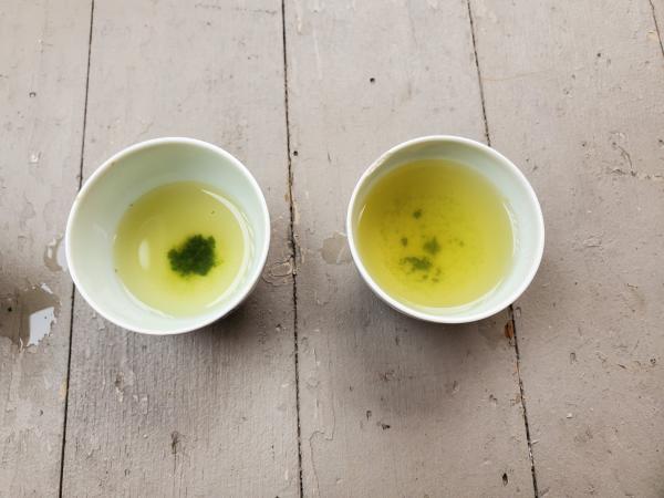 Picture Posted by Reviewer