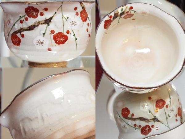 Picture Posted by Reviewer