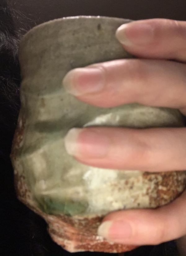 Picture Posted by Reviewer