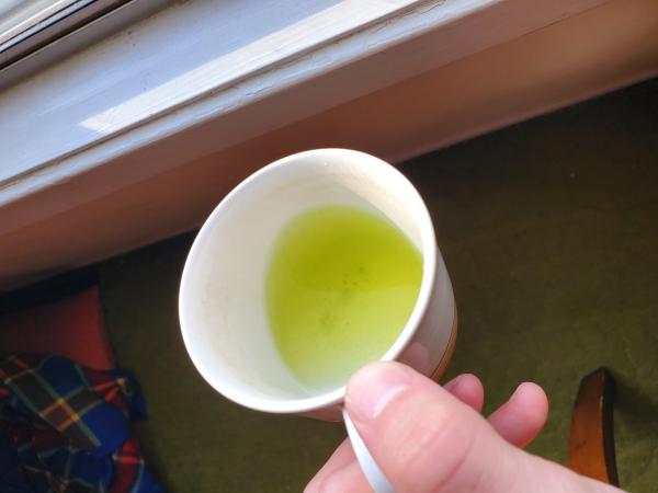 Picture Posted by Reviewer